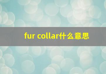 fur collar什么意思